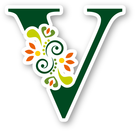 V Logo